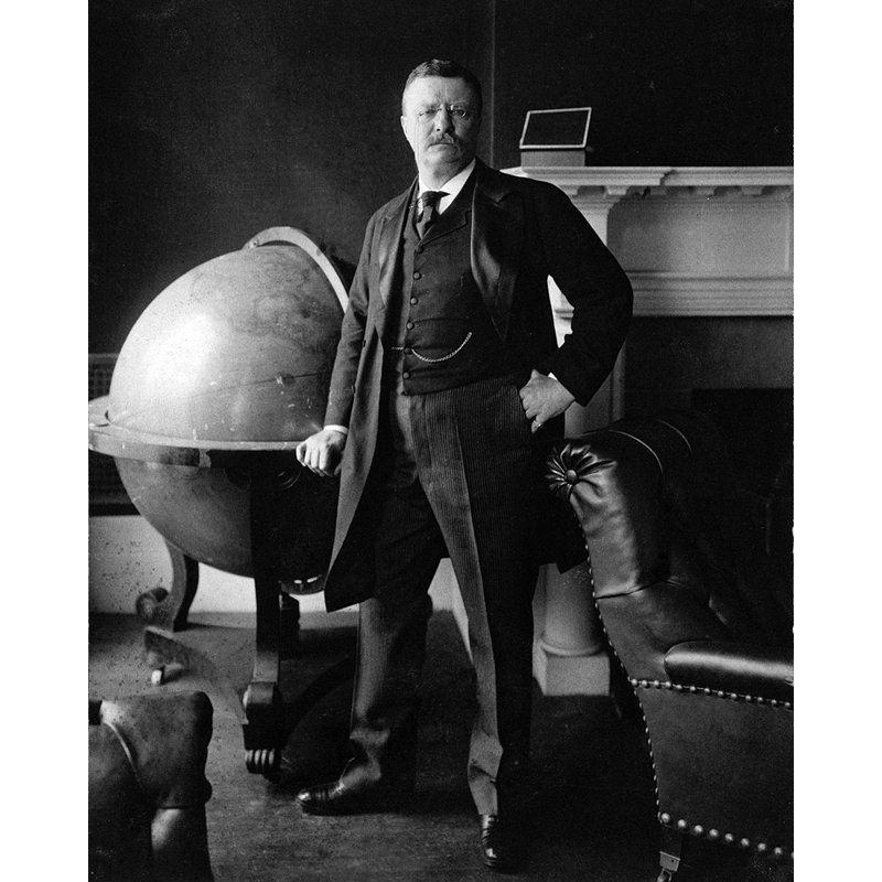 Theodore Roosevelt, Jr. le 26e président des États-Unis, H 24 po x l 19 po