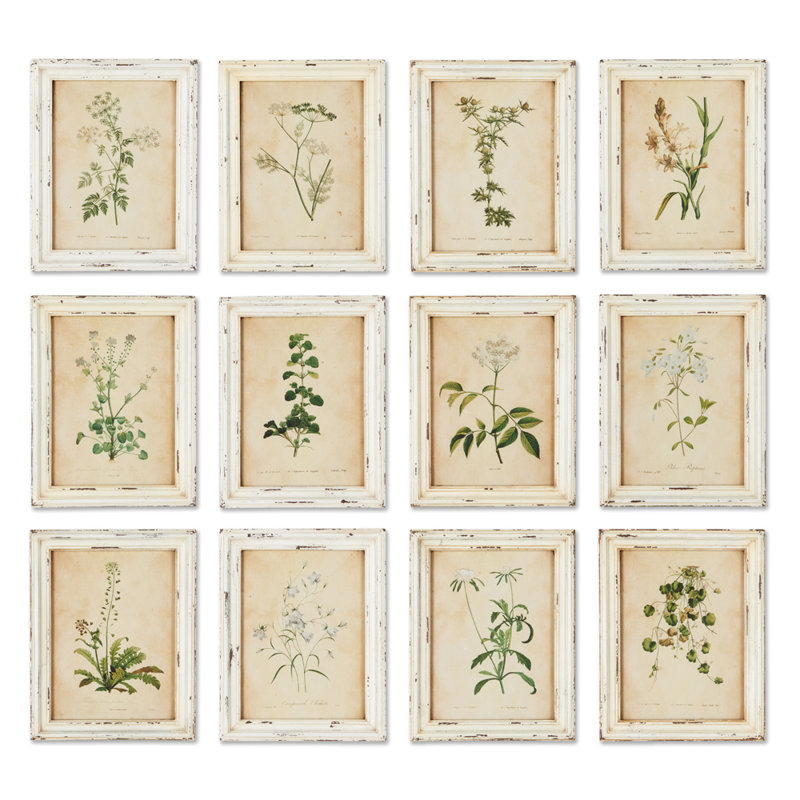 Wild Flower Botanical Set