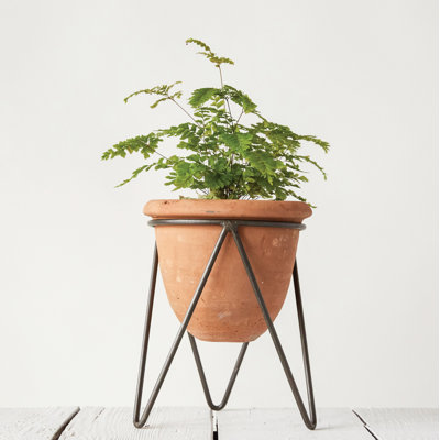 Terracotta Pot with Metal Clothespin‑Style Stand Rustic