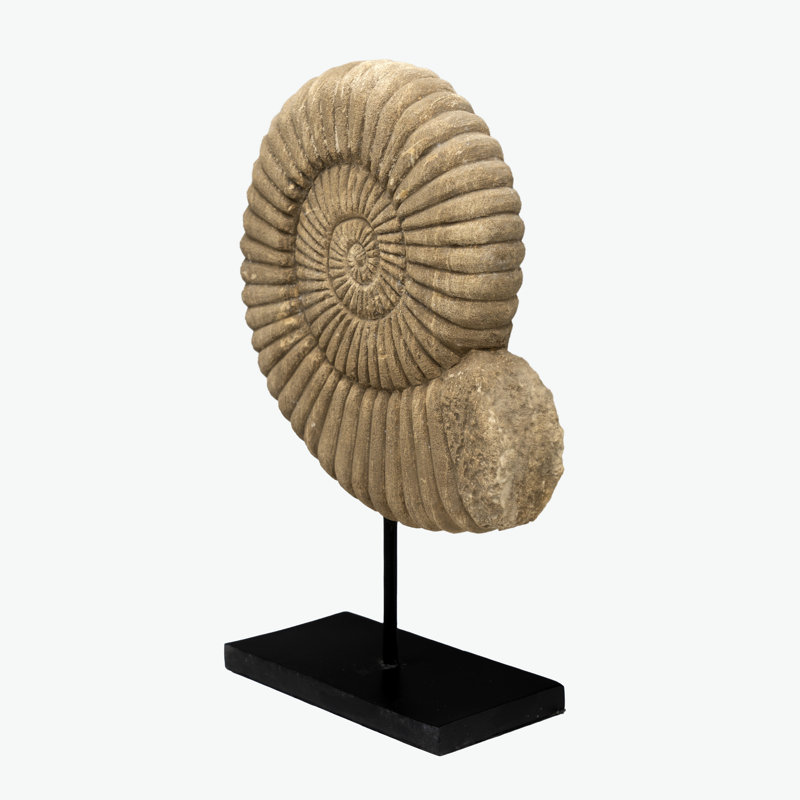 Statue 19 "en pierre naturelle Nautilus 19"