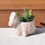 Pot de fleurs en terre cuite