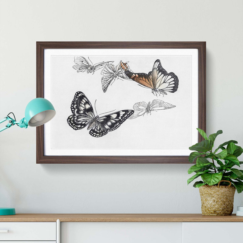 Butterfly Illustration by Morimoto Toko - Picture Frame Graphic Art Print, 27cm H x 36cm W x 2cm D, Walnut Framed