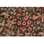 Pados Wool Oriental Rug