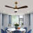 Huybert 48'' Ceiling Fan with LED Lights