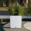 Moneak Planter Box-2032306924-2033258003