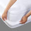 Fitted Mattress Protector Case Pack-2586328