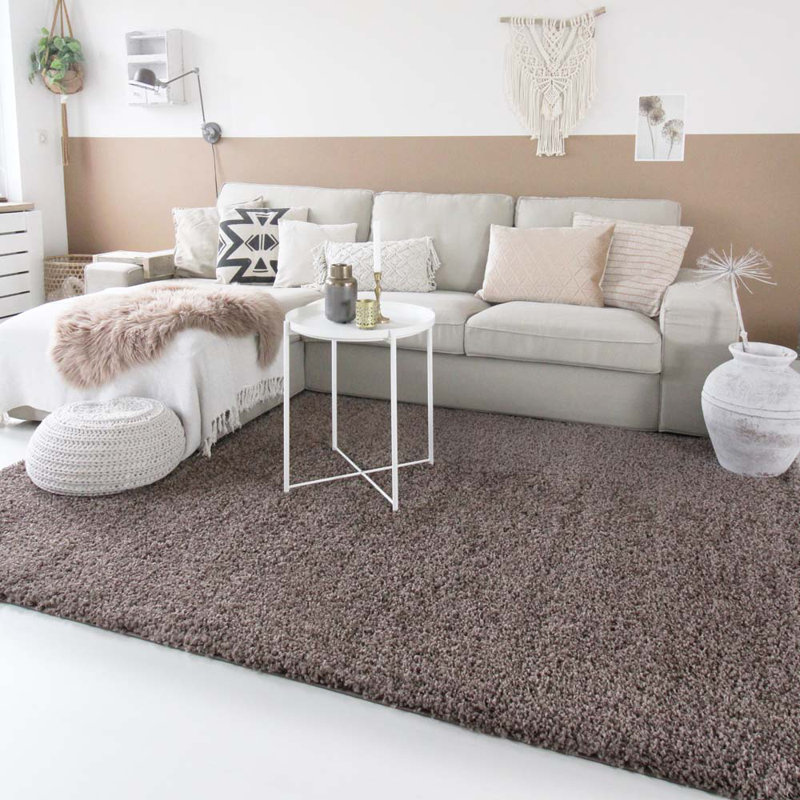 Aloysia Solid Colour Shag Area Rug, Rectangle 300 x 400cm
