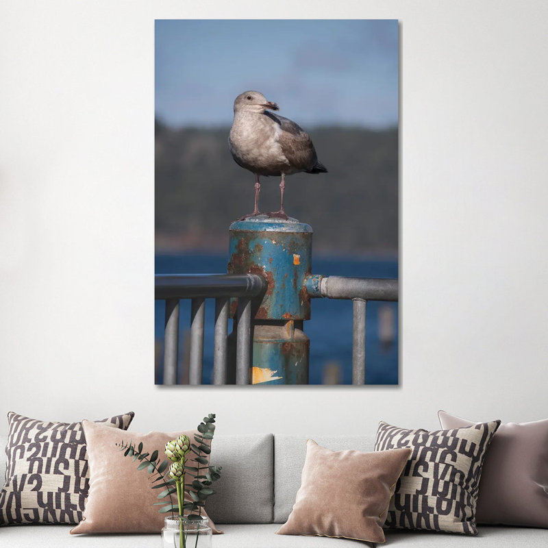 Seagull Portrait by Louis Ruth - Wrapped Canvas Print, 152.5 cm H x 101.5 cm W
