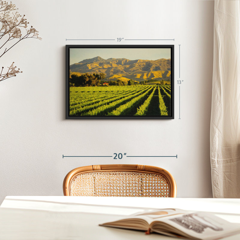 Nature " Blenheim Vineyard Wall Art ", 13" H x 19" W