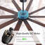 Ventilateur de plafond Modern Farmhouse-720925184