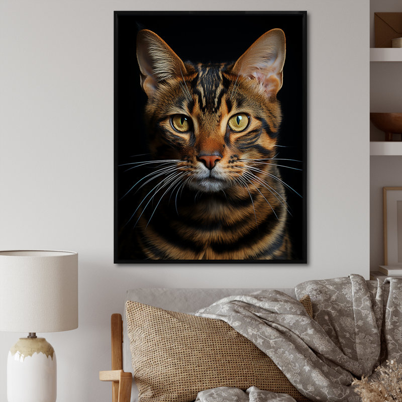 Chat, tigre, portrait de chat, H 40 po x l 30 po x P 1,5 po, Cadre flottant noir
