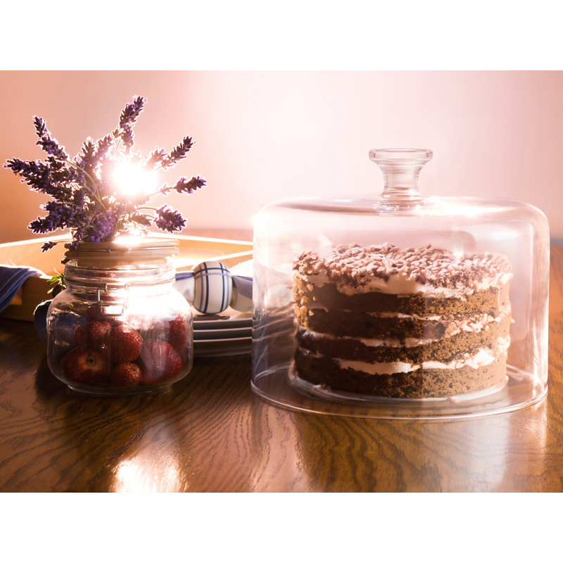 Winston Porter Craignamaddy Glass Cover