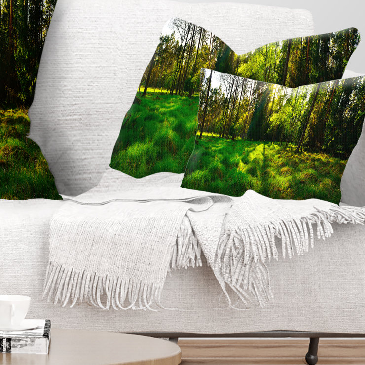Landscape Reversible Throw Pillow