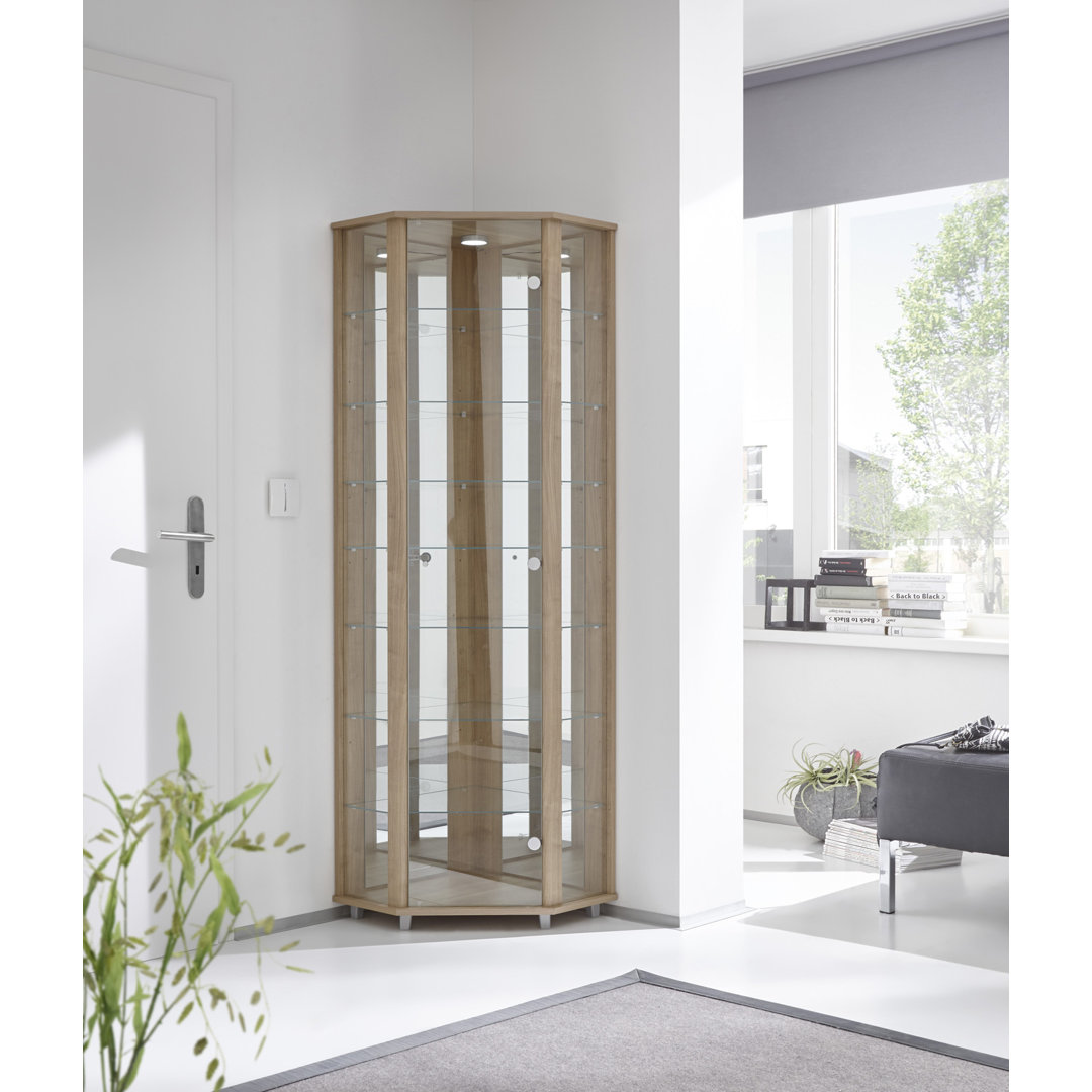 Frankmut Corner Curio Cabinet with Lighting