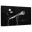 Microphone Abarca-111984035