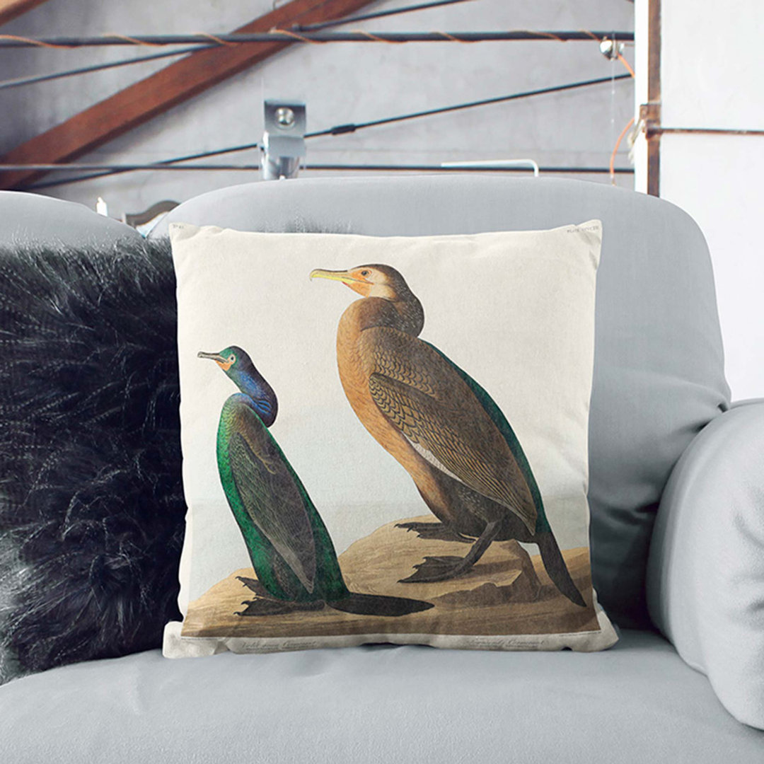 Cormorant Birds by John James Audubon Cushion with Filling
