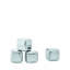 5 Pc Ice Cube Chiller Set