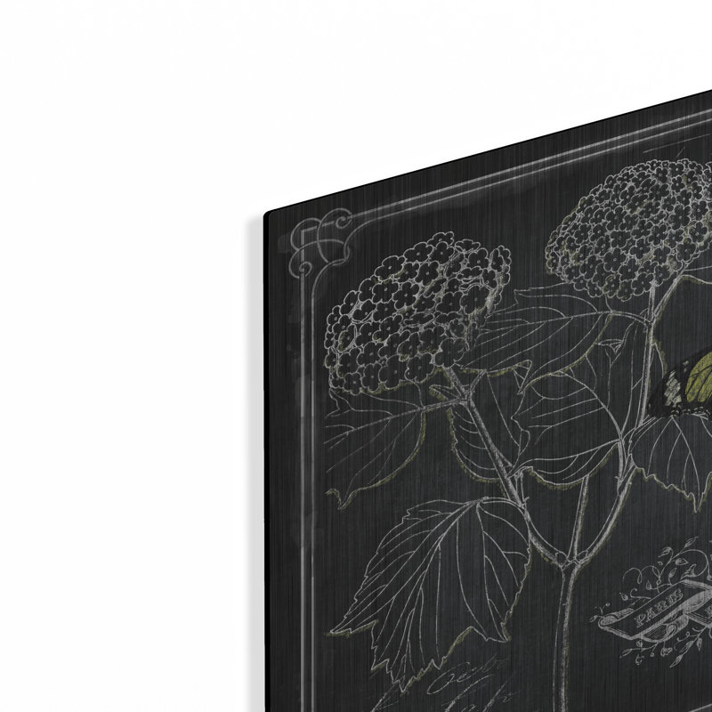 «August Chalkboard Botanical 1» par Augusta, H 12 po x l 12 po