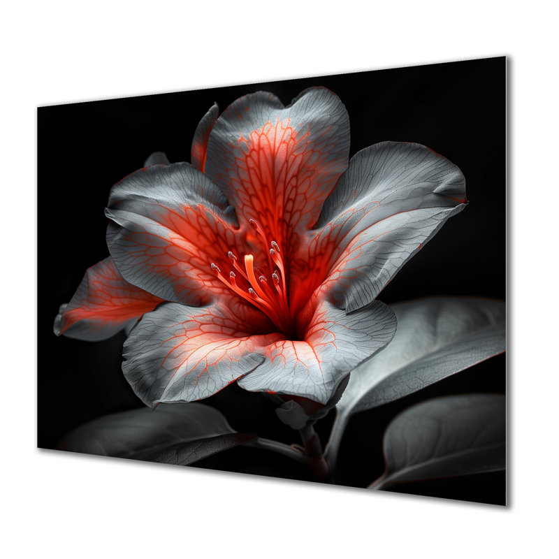 Rose noir et rhododendron Midnight Bloom III - impression d'art mural rhododendron, Métal métal, 34" H x 44" W