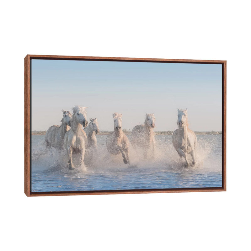 White Angels Of Camargue II by Daniel Kordan - Print on Canvas, Classic Brown Wood Framed, 101.6 cm H x 66.04 cm W