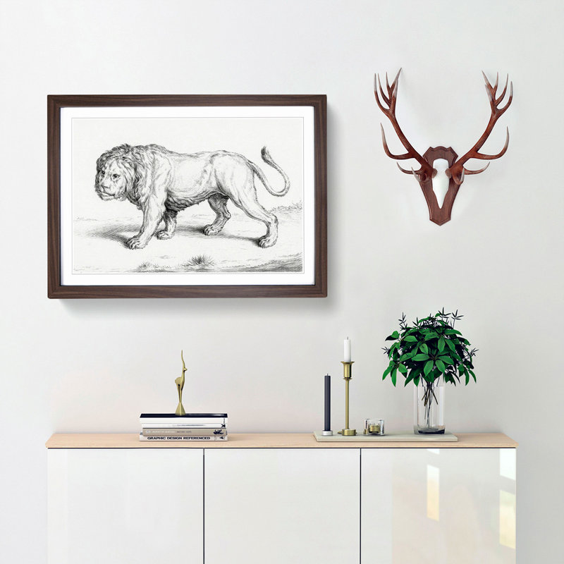 Prowling Lion by Jean Bernard - Picture Frame Drawing Print, Walnut Framed, 27cm H x 36cm W x 2cm D
