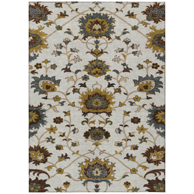 Machine Washable Indoor/Outdoor Chantille ACN2290 Global Rug