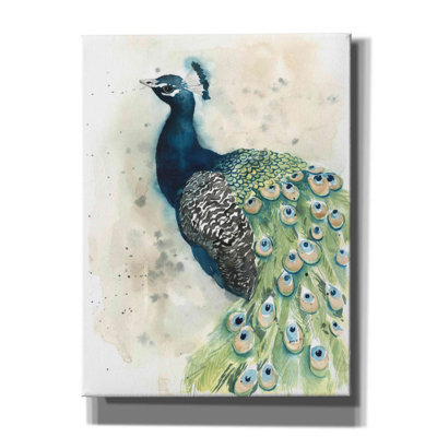 Bungalow Rose 'Watercolor Peacock Portrait II' By Grace Popp