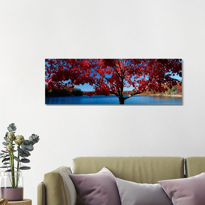 Close-up Of A Tree, Walden Pond, Concord, Massachusetts, USA - Wrapped Canvas Panoramic Print