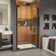 Elegance-LS 45.75" W x 72" H Pivot Frameless Shower Door with ClearMax™ Technology