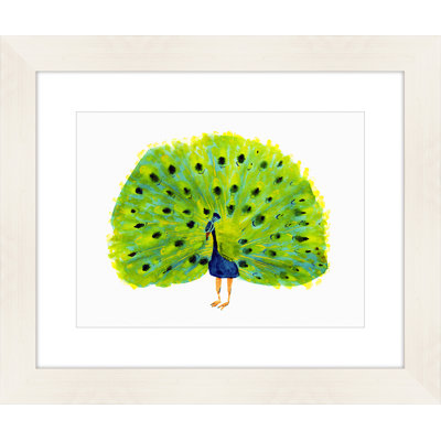 " Peacock "