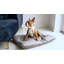 Solon Pet Bed-99232194-99232196-99232204