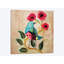 « les pavots », reproduction d’impression sur toile-32559824-72139286