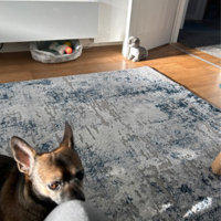 Borough Wharf Hargimont Abstract Area Rug Reviews