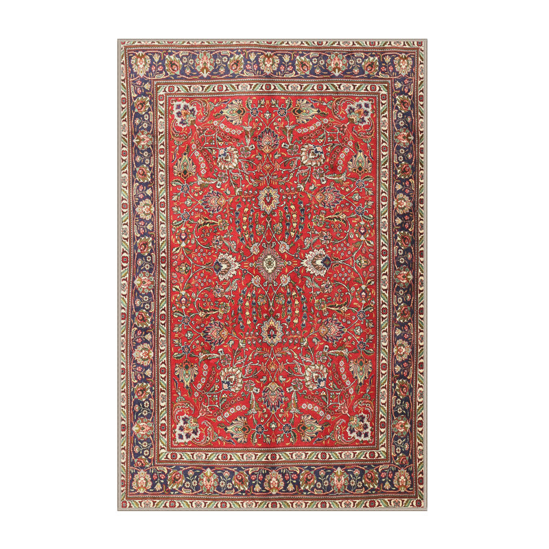 Akaash Oriental Indoor Rug, Rectangle 6' x 9'