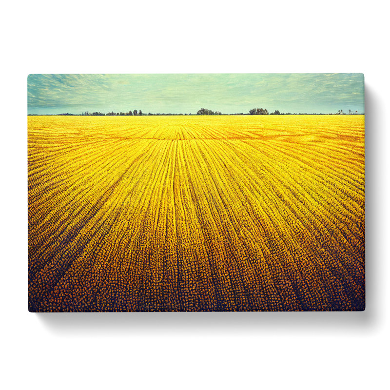 Splendid Wheat Field - Wrapped Canvas, 35cm H x 50cm W x 3cm D