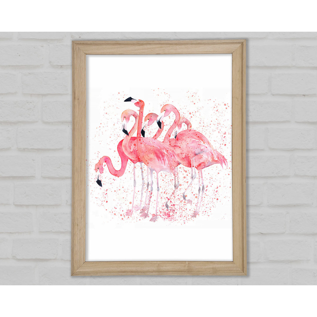 Rosa Flamingo Splash - Druck