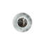Blaze 1 - Light LED Flush Mounted Sconce-16499711-69841835