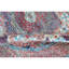 High-Quality Hand-Knotted Navy And Red Area Rug