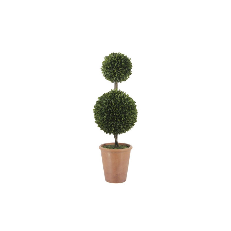 36" Double Boxwood Topiary in Pot