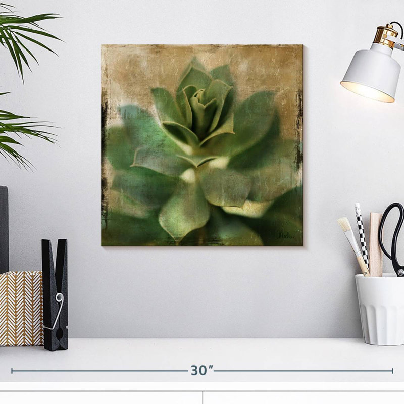Harnek Succulent I