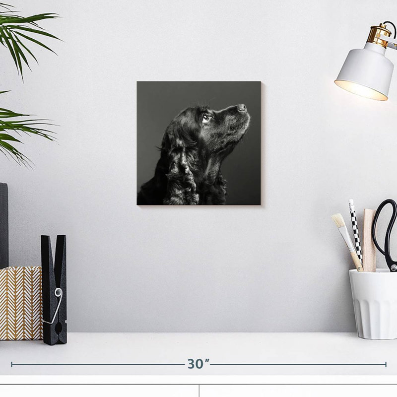 Brampt chien noir brillant, H 10 po x l 10 po