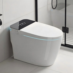 Smart Toilets, Ceramic Compact Modern Bidet For Home Bathrooms