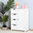 Chales Freestanding Bathroom Cabinet