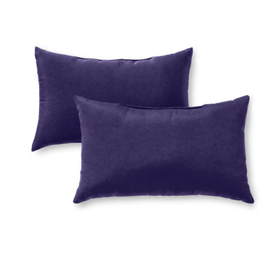 Henrich Indoor/Outdoor Lumbar Pillow