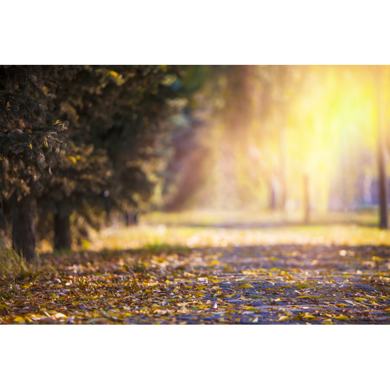Falling Autumn Leaves by Guvendemir, 12" H x 18" W