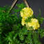 55 po x 33,5 po de fleurs artificielles en centre de table avec motif floral, fleurs roses / jaunes et feuilles vertes