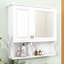 Armoire à pharmacie murale avec miroir, tablettes réglables, rangement ouvert et portes-880034525