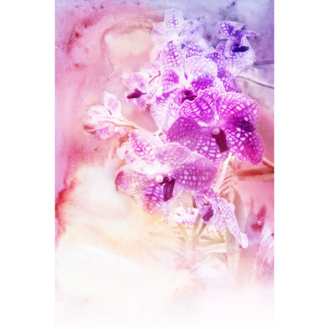 Blumen-Aquarell-Illustration - Leinwand-Kunstdrucke auf Wrapped Canvas