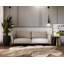 Tashyah 2 Seater Sofa Bed-939758718