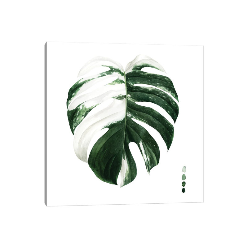 Variegated Monstera II by Grace Popp - Wrapped Canvas Gallery-Wrapped Canvas Giclée, 66.04cm H x 66.04cm W
